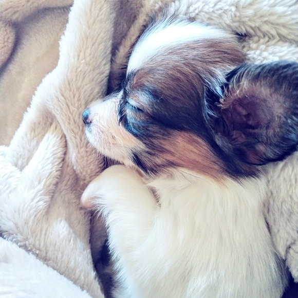 Welcome!! - Picture 6 of 9